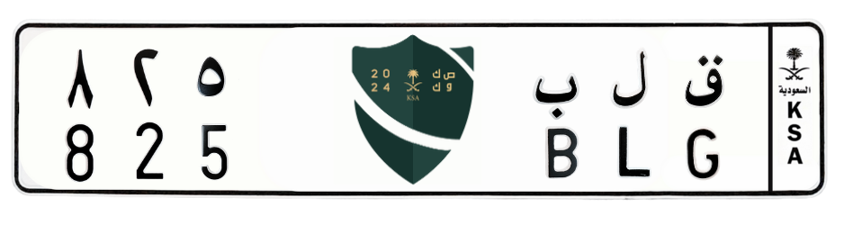 لوحة ق ل ب 825